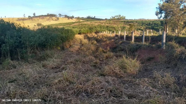 Vendo Terreno Pinhalzinho Direto com o Proprietário