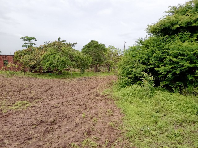 Vendo casa no ponto de laje - Foto 3