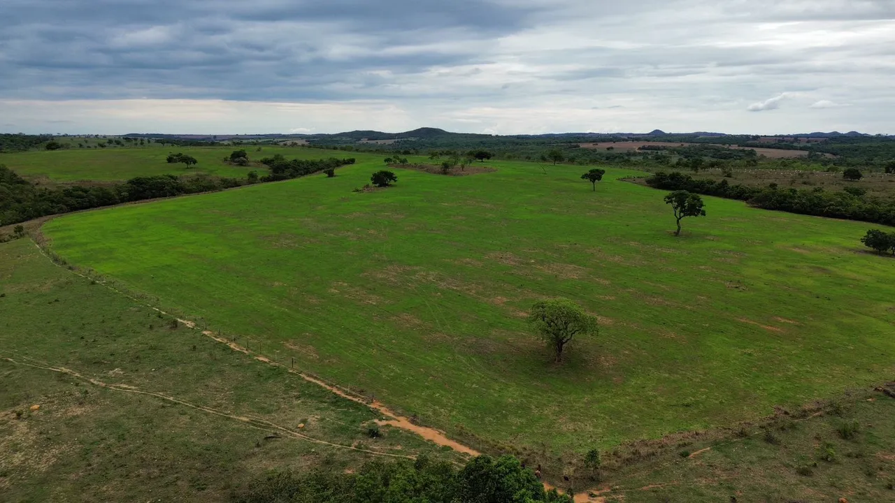 Fazenda 16 alqueires em.morrinhos Goiás planta 8 alq. E 8 de pasto 3.300.000