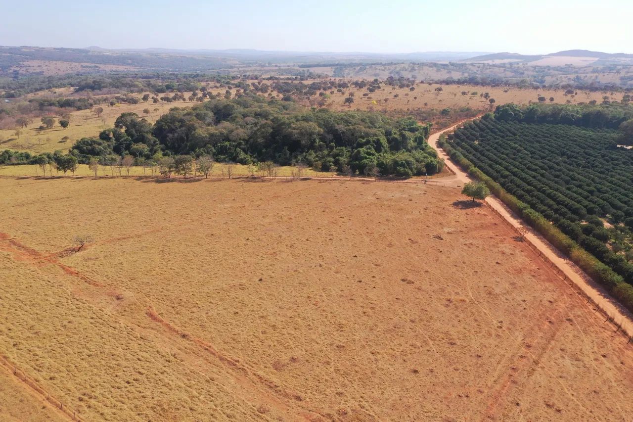 Fazenda a 30 km de Goiânia 23.78 Alqueires  - Foto 5