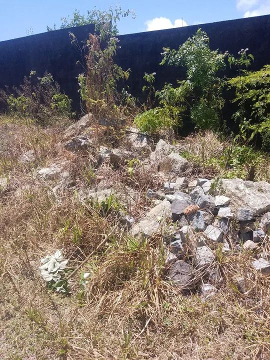 Vendo mais de 1 carrada de pedra pra alicerce