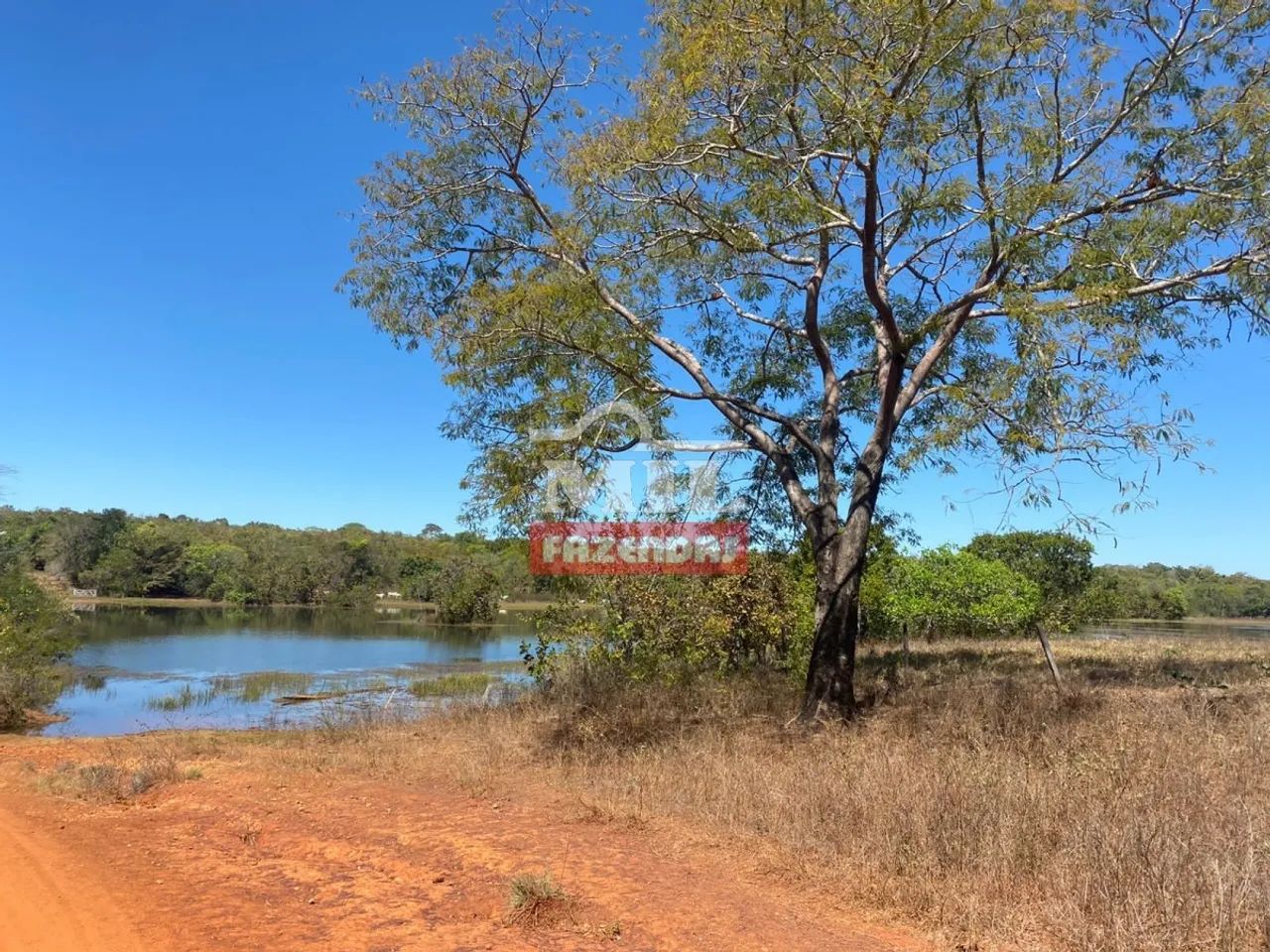 Fazenda em Palmeirópolis-TO. . 440 Alq. ( 2.130 Há). Boa p/ Soja