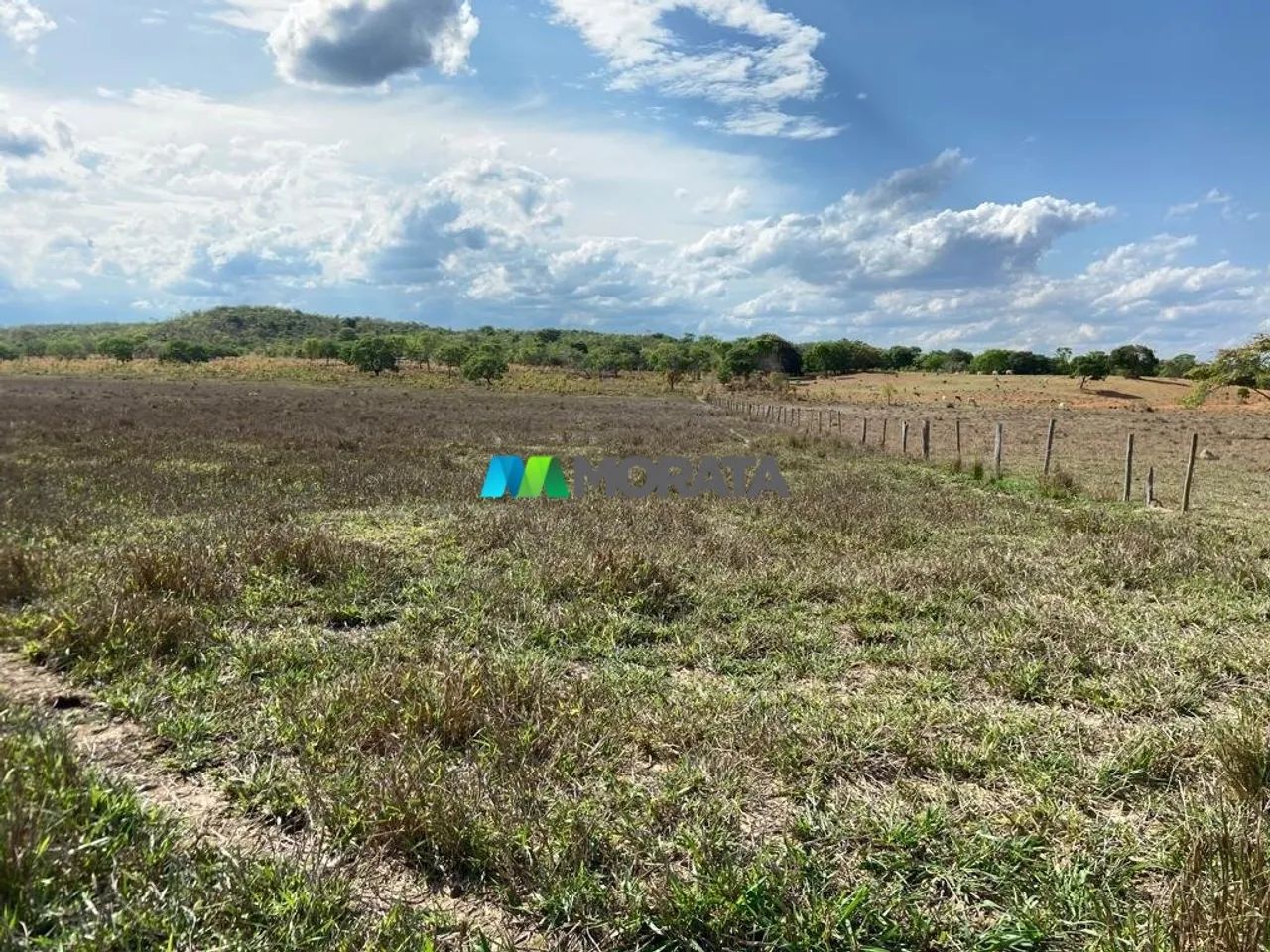 FAZENDA À VENDA - 812 HECTARES - REGIÃO DE CURVELO (MG) - Foto 4