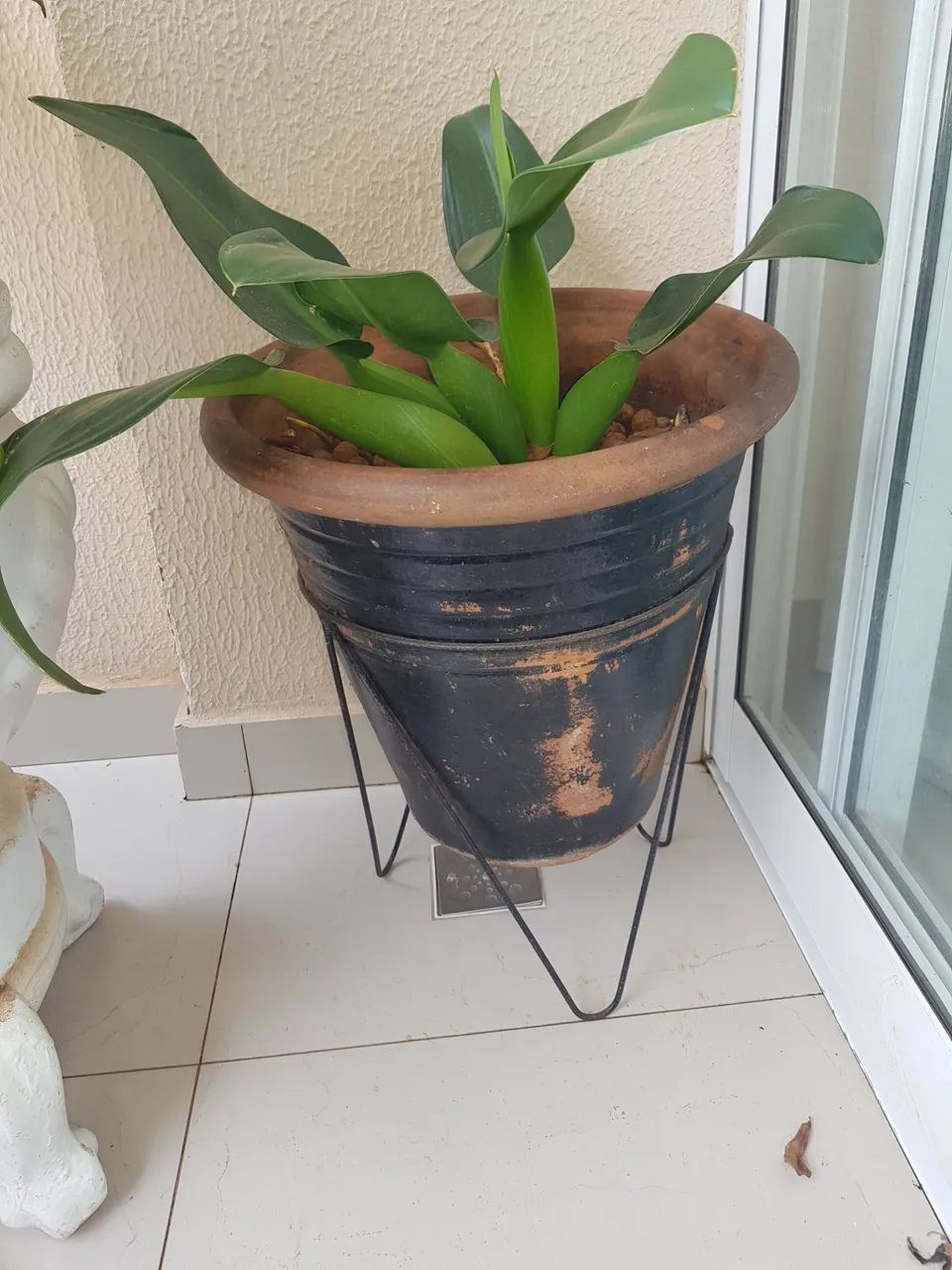 Vaso médio com planta natural adubado