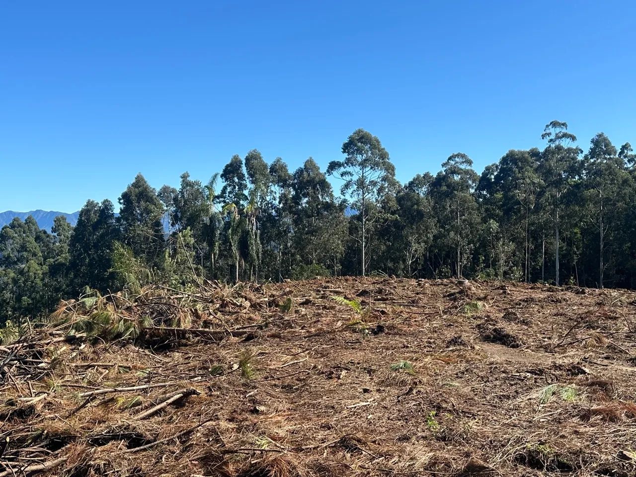 Vendo sítio  - Foto 3