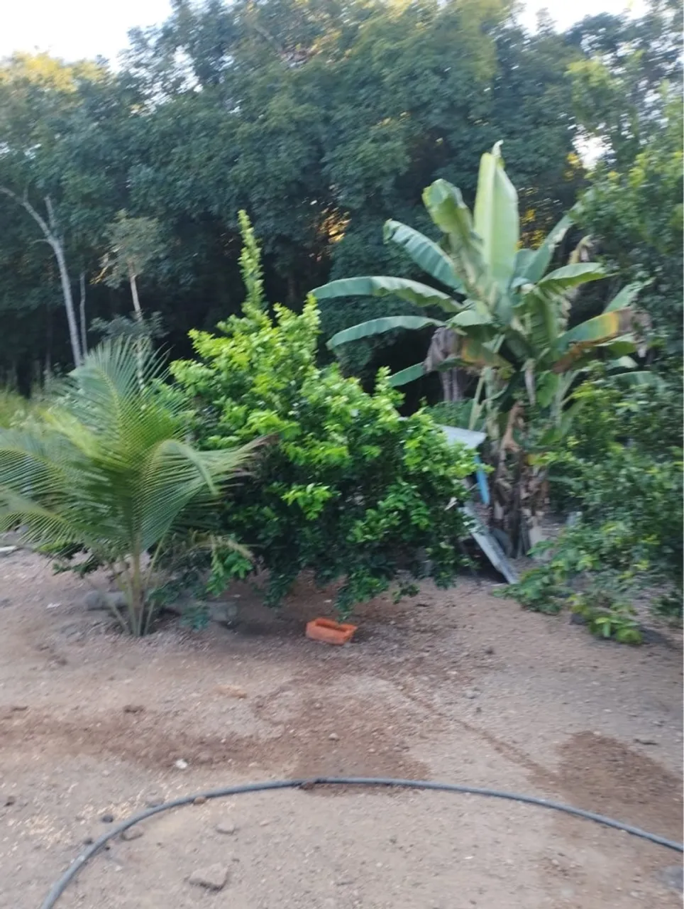 Chacara à venda