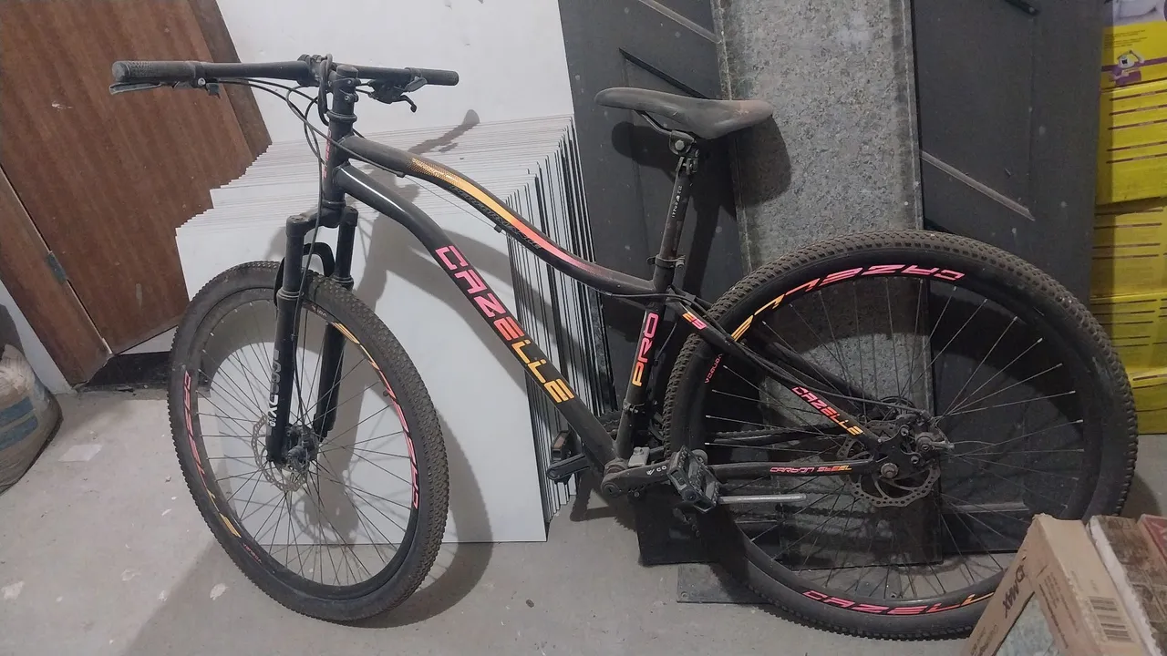 Bicicleta