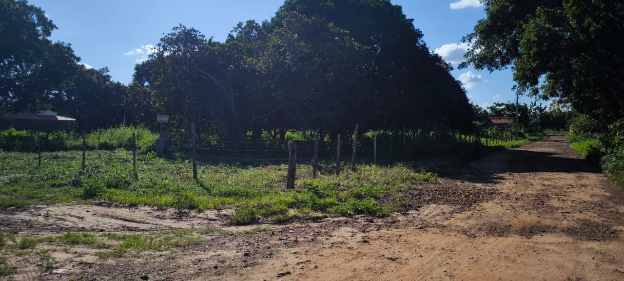Vendo esse terreno bairro Cícero Ferraz timon 10/20 de esquina