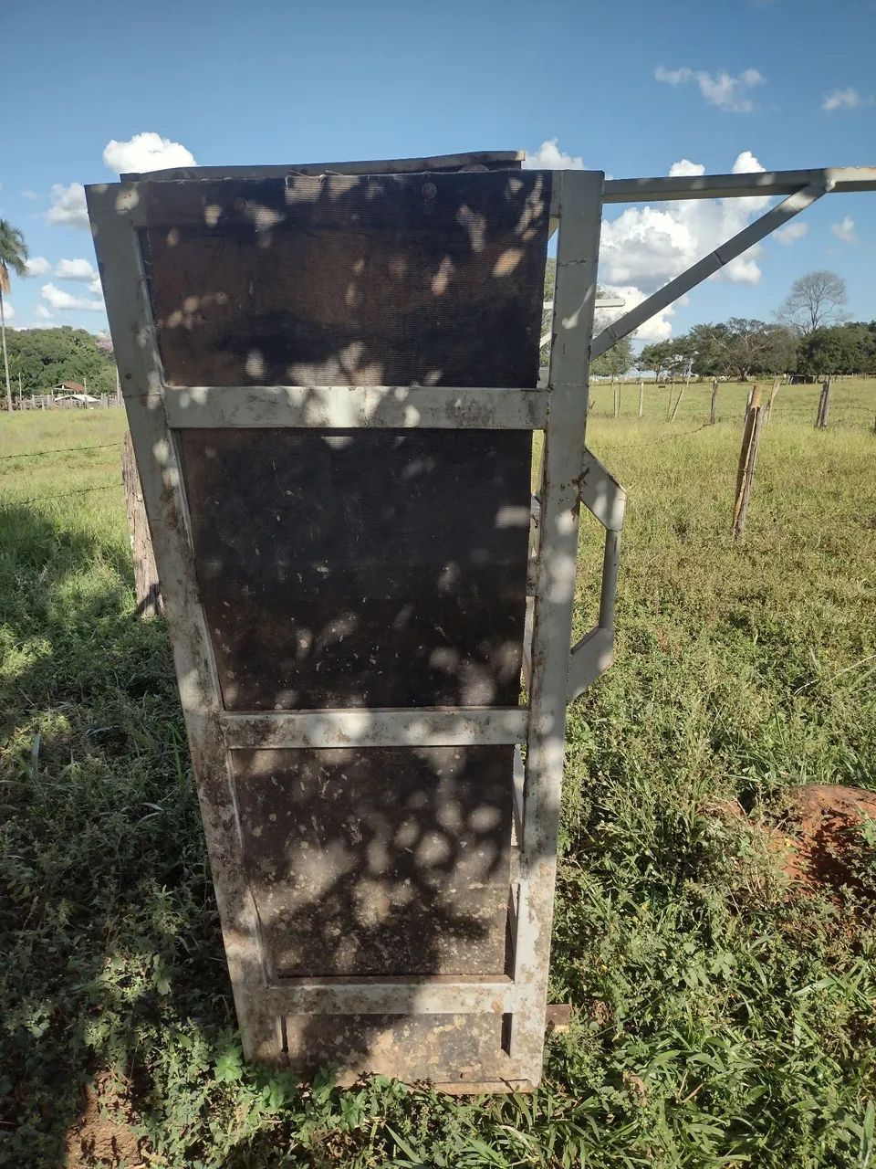 Tronco de contenção e balança bovina  - Foto 3