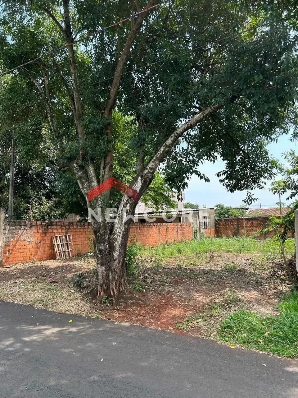 Lote em Rua Paulo Baum - Carimã - Foz do Iguaçu/PR - Foto 2