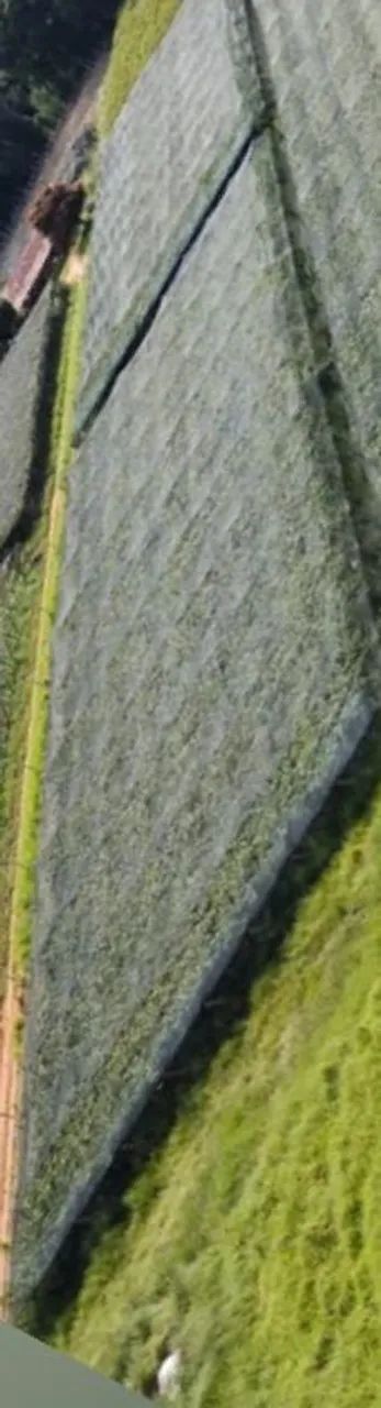 Sítio a venda na colônia Pinhal São Miguel Arcanjo sp  - Foto 2
