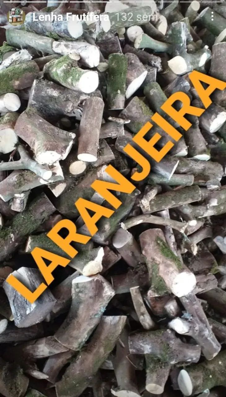 LENHA NOBRE PARA CHURRASCO, DEFUMAÇÃO E PARRILLA - ENTREGA RÁPIDA. - Foto 5