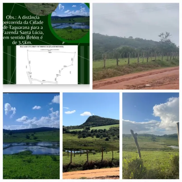 fazenda santa luzia na cidade Taquarana
