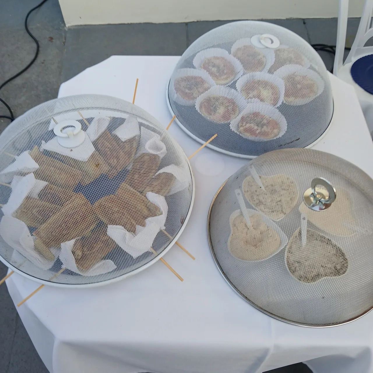 Serviço de buffet infantil e locação de karaoke e brinquedos  - Foto 2