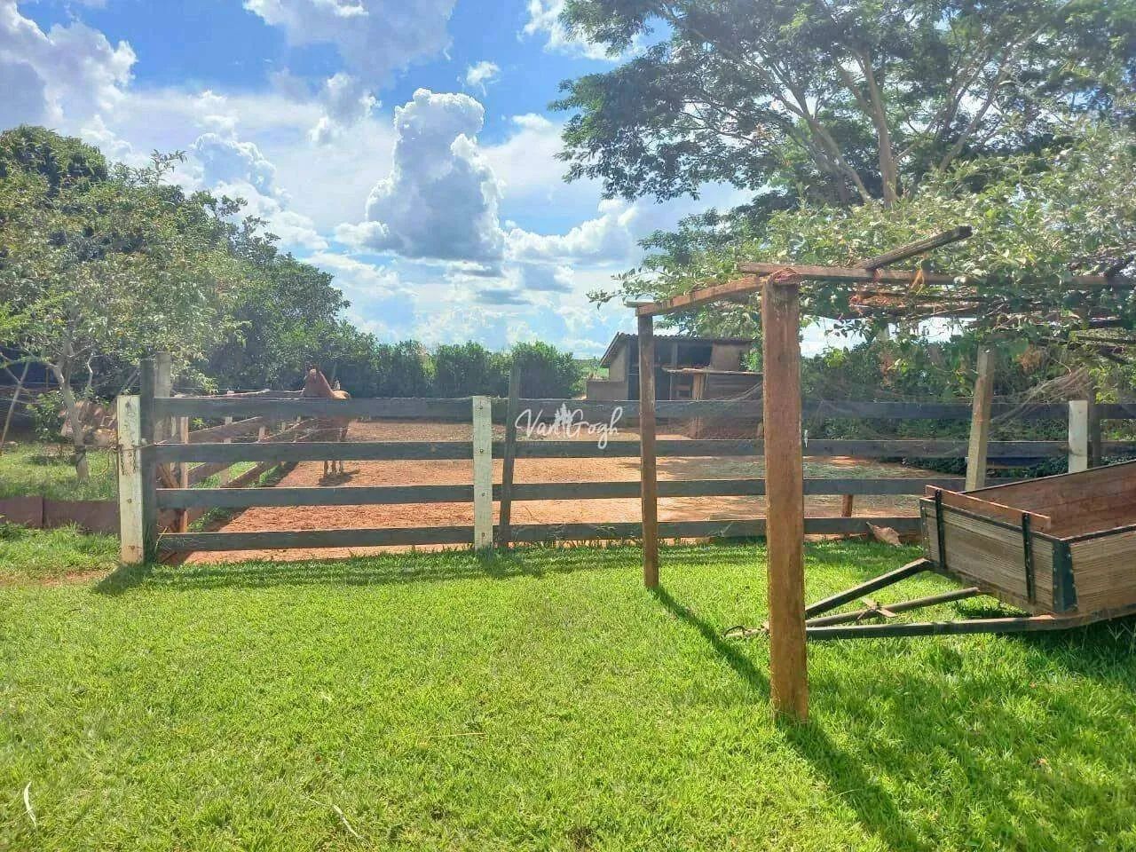 Chácara à venda, 4 quartos, São Benedito da Capelinha (Zona Rural) - São José do Rio Preto - Foto 5