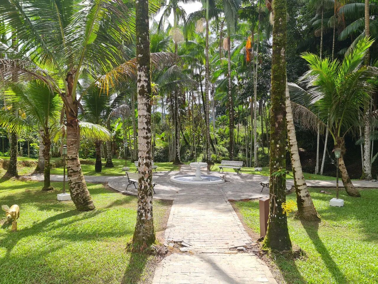 Vende-se linda Chácara em Pedro de Toledo  - Foto 6