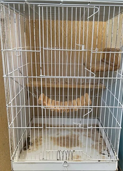 Viveiro para roedores 