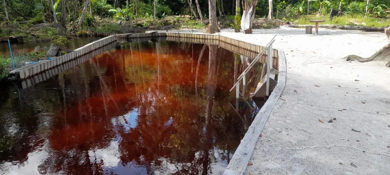 Sitio Estrada Novo Airão km 44 - Foto 2