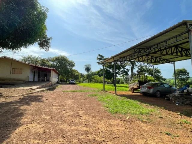 Fazenda à Venda Região nobre do TOCANTINS. - Foto 12