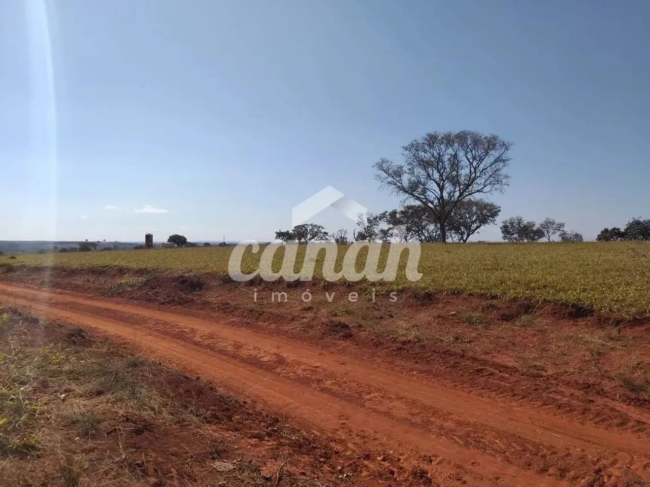 Fazenda em São Gonçalo do Abaté - São Gonçalo do Abaeté, MG - Foto 3
