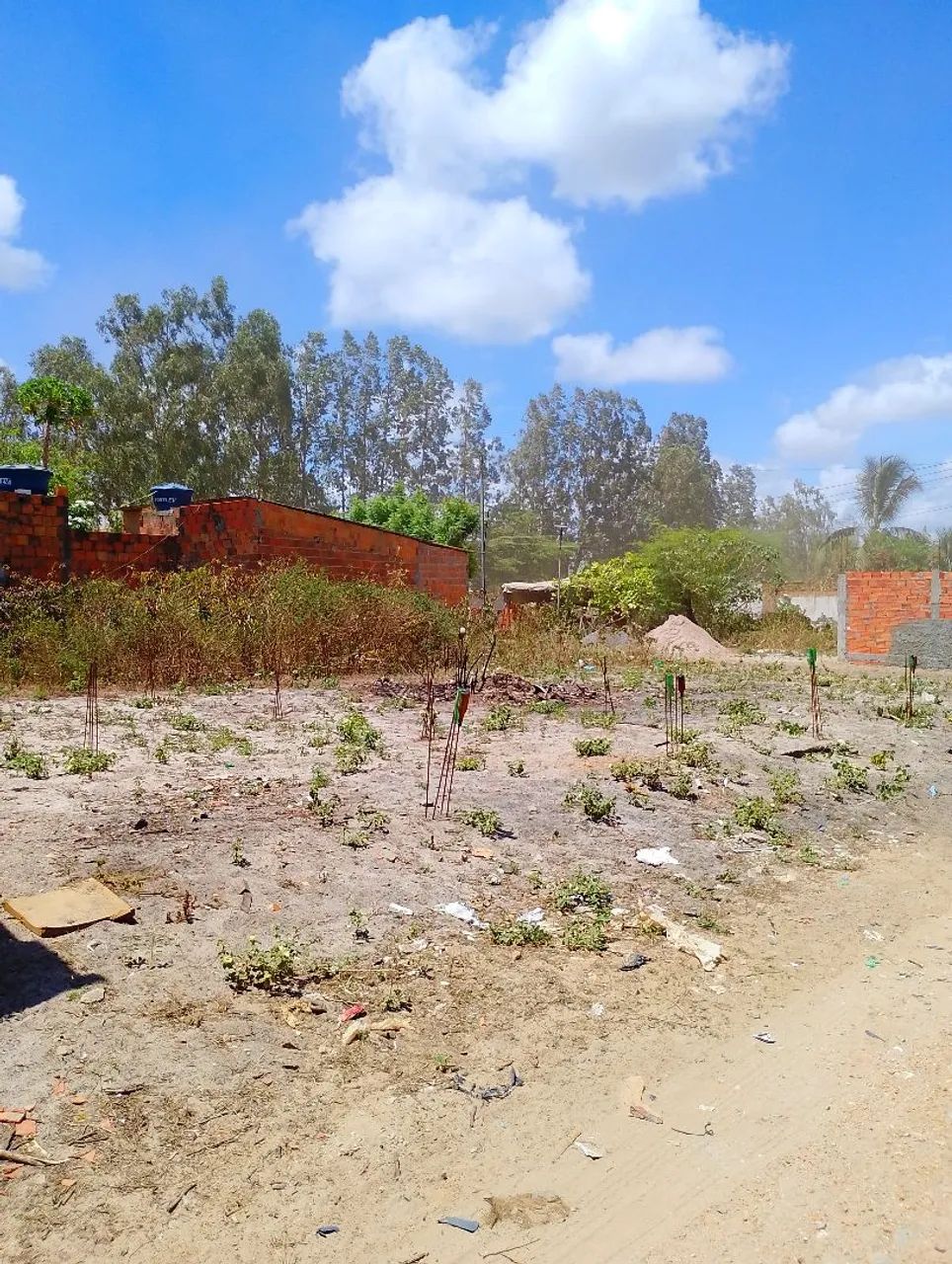 Terreno no Novo Horizonte (MF3)