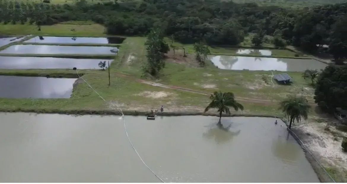 Vendo Propiedade Em Morros- Ma 35 Ha - Foto 3