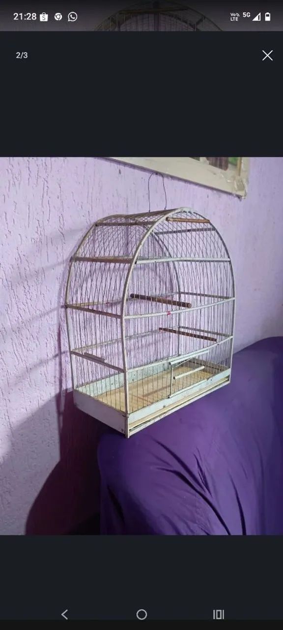 Gaiola boa - Foto 2