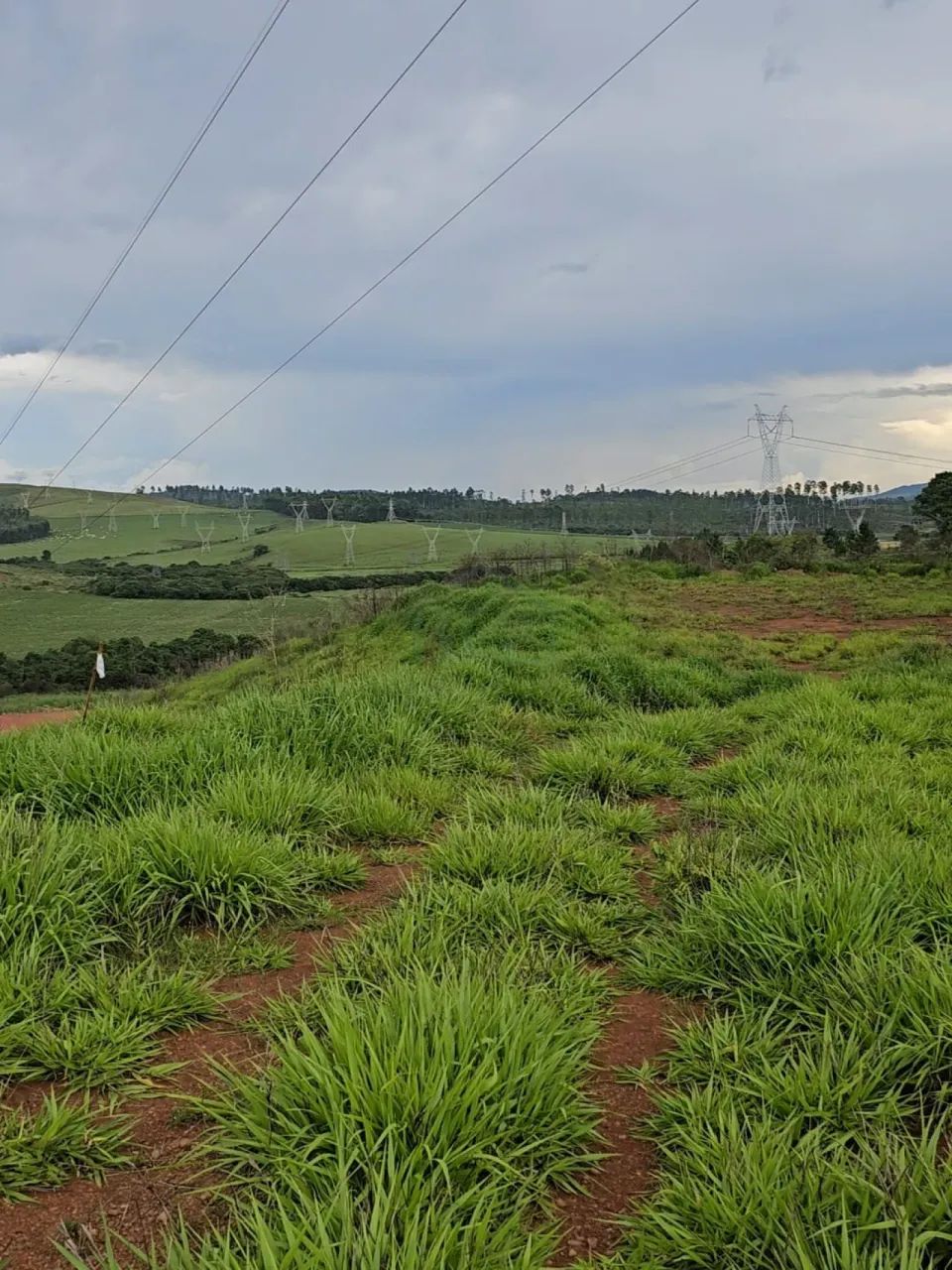 Terrenos Loteamento em Poços de Caldas - Foto 3