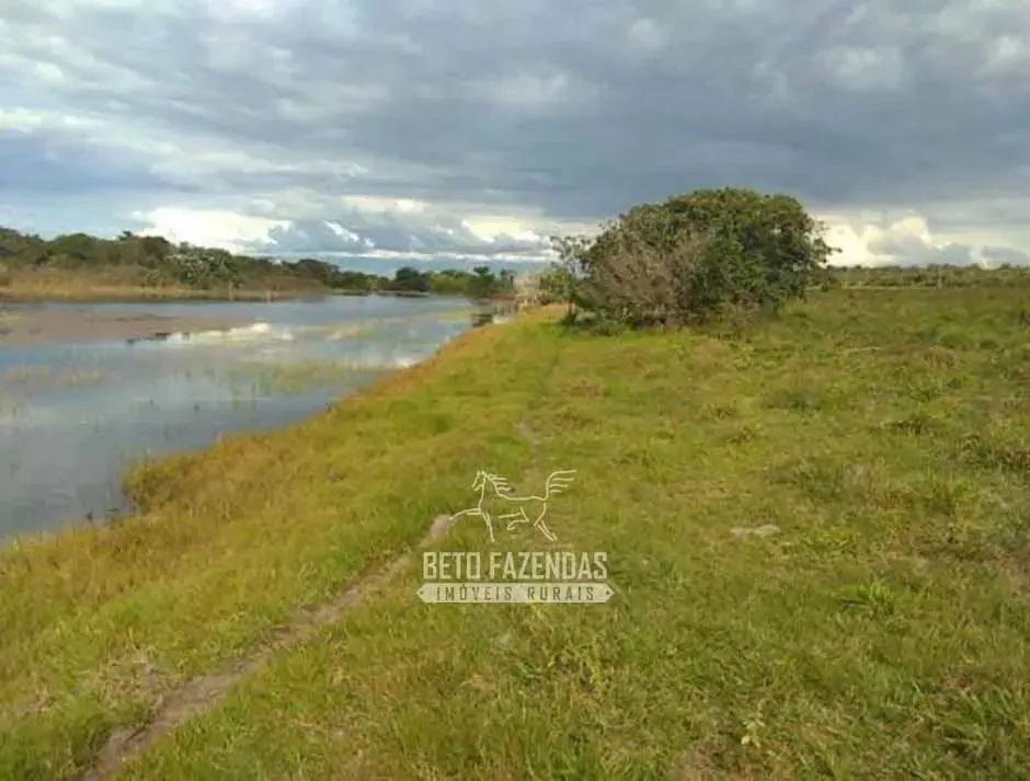 Imóvel para venda possui  metros quadrados em Zona Rural - Novo São Joaquim - MT - Foto 5