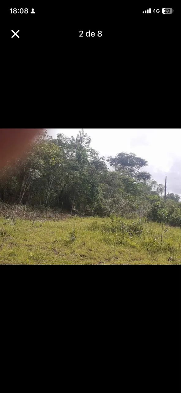 Terreno com Igarapé no outeiro  - Foto 4