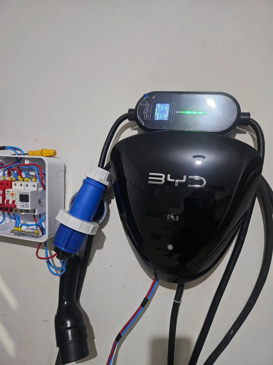 Wallbox BYD