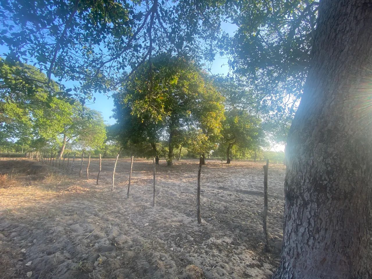 Vende-se terreno em sítio  - Foto 2