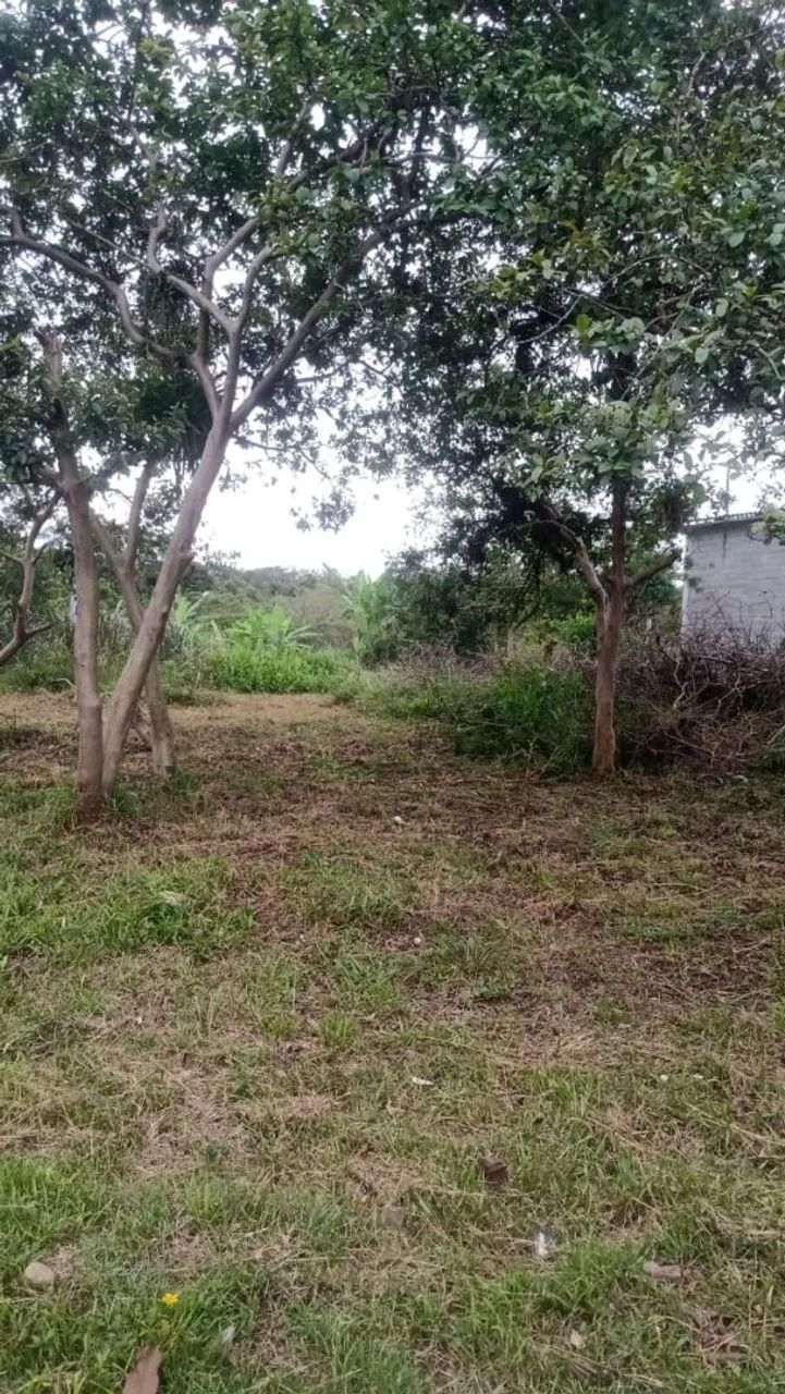Vendo terrenos  - Foto 2