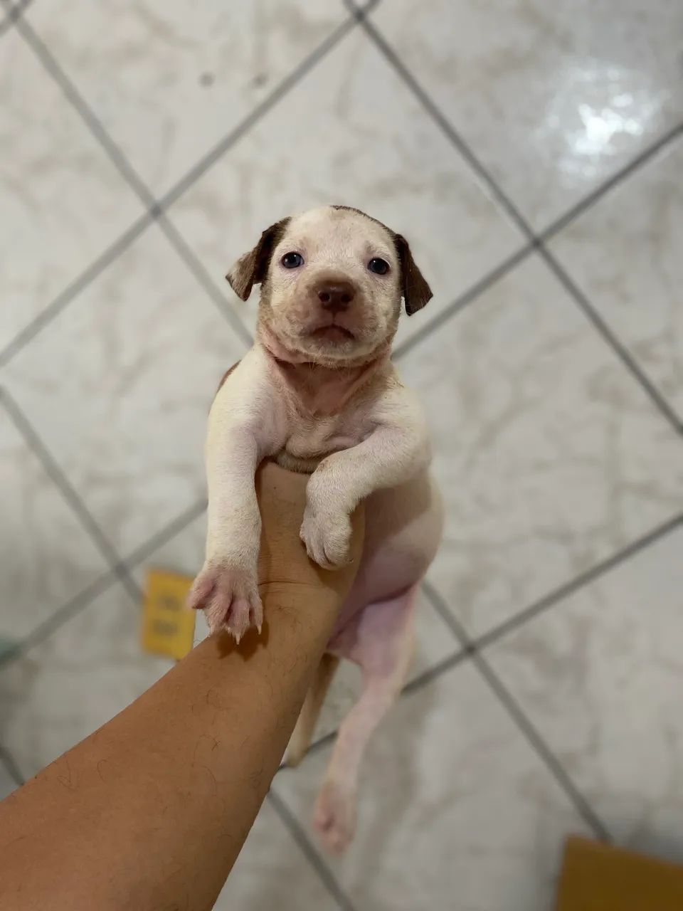 Atenção  - Foto 2