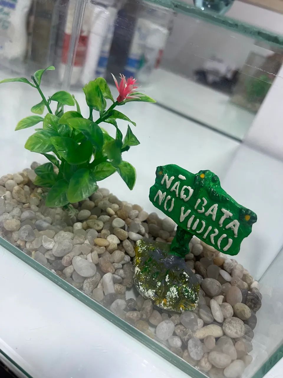 Aquário com decoração  - Foto 4