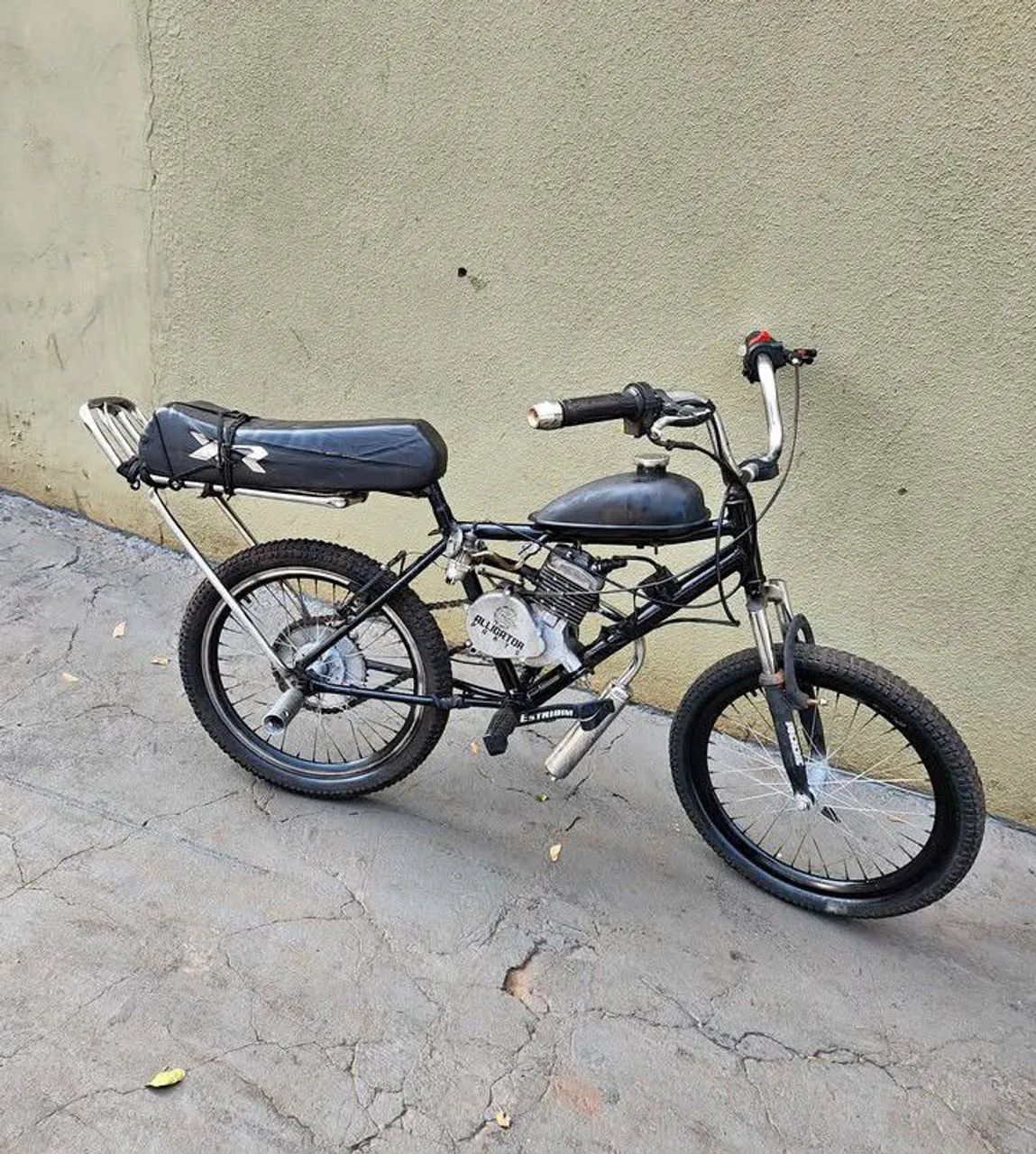 Bicicleta Motorizada 
