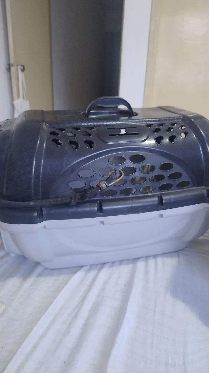 Caixa de transporte para pet - Foto 5