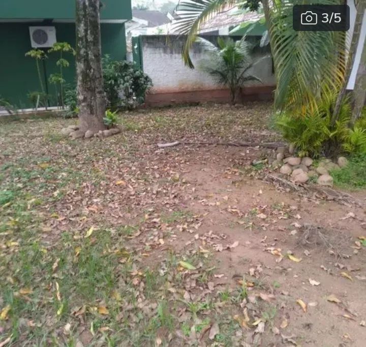 LIMPEZA DE QUINTAL E TERRENOS  - Foto 3