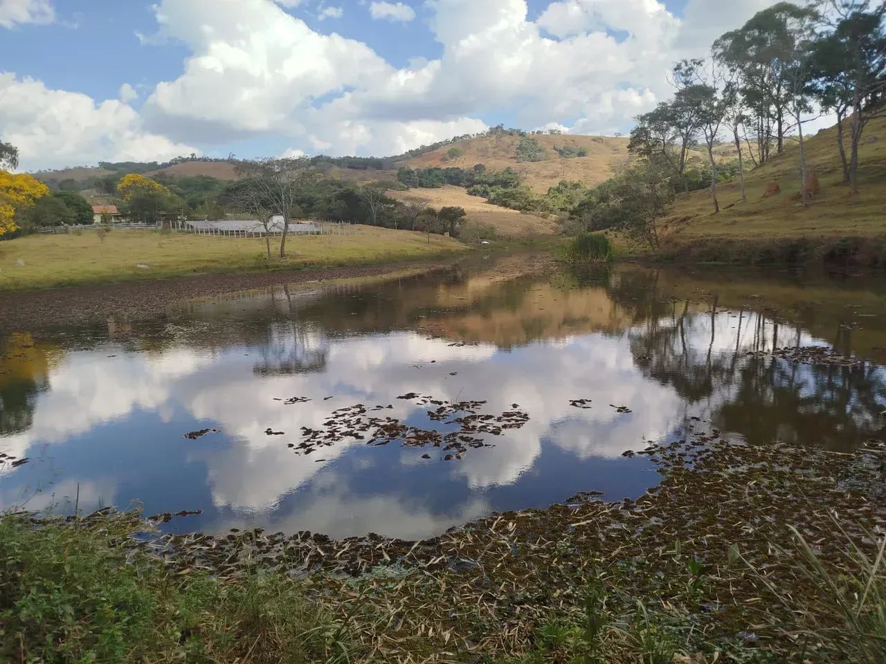 Fazenda em Oliveira /MG 65 hectares café E PLANTAÇOES DIVERSAS,, PODENDO USAR AGUA POR GRA - Foto 12