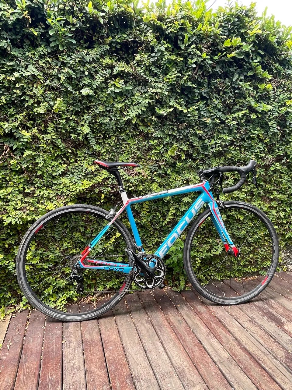 BIKE SPEED FOCUS CAYO