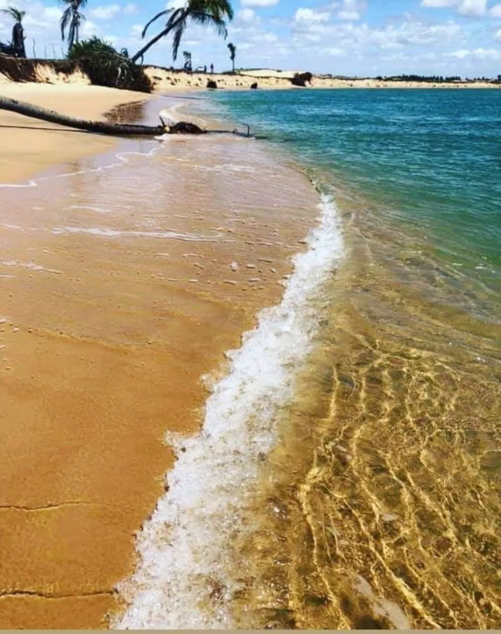 Terrenos Pacatuba Boca da Barra - Foto 4