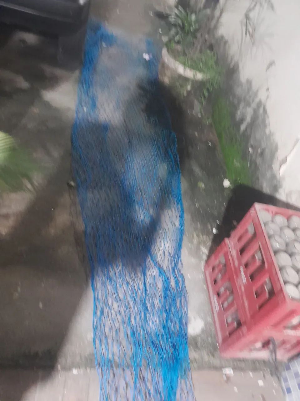 Rede de proteção  - Foto 2