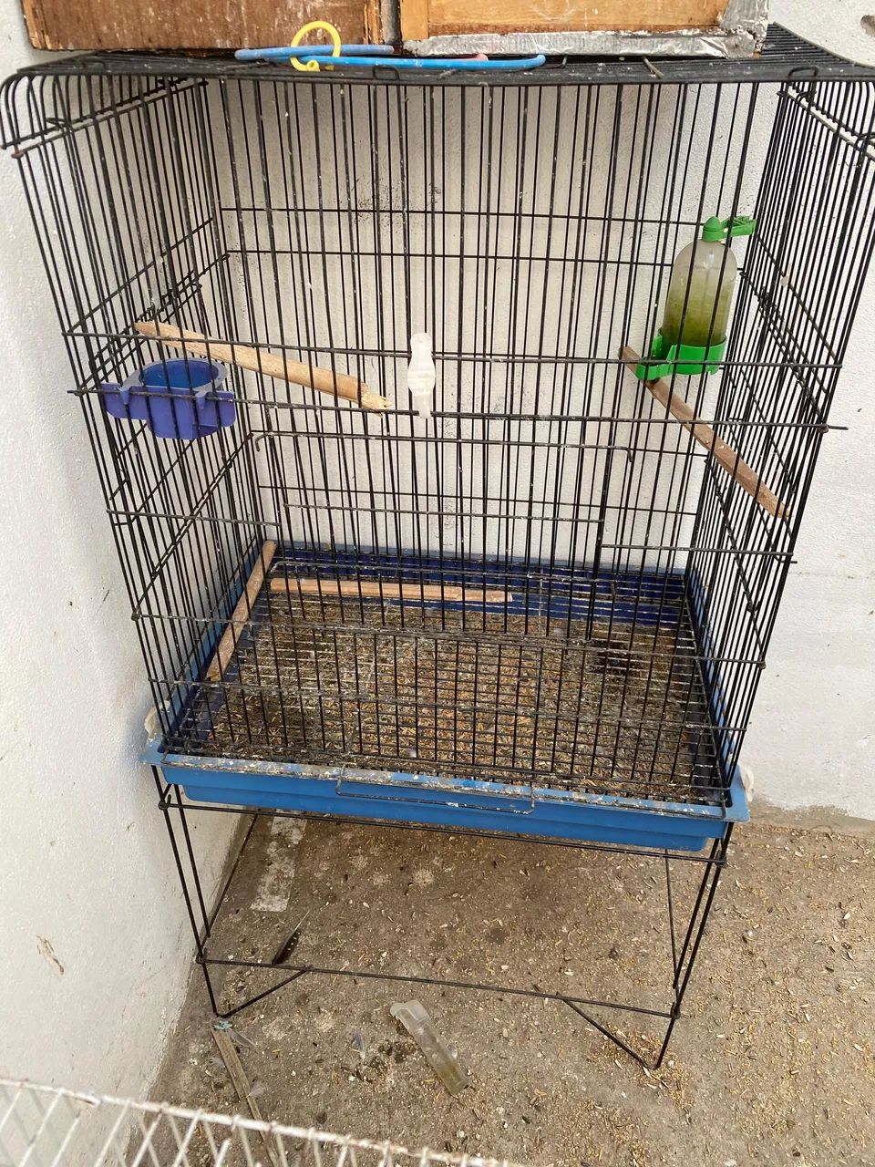 Gaiola disponível  - Foto 2