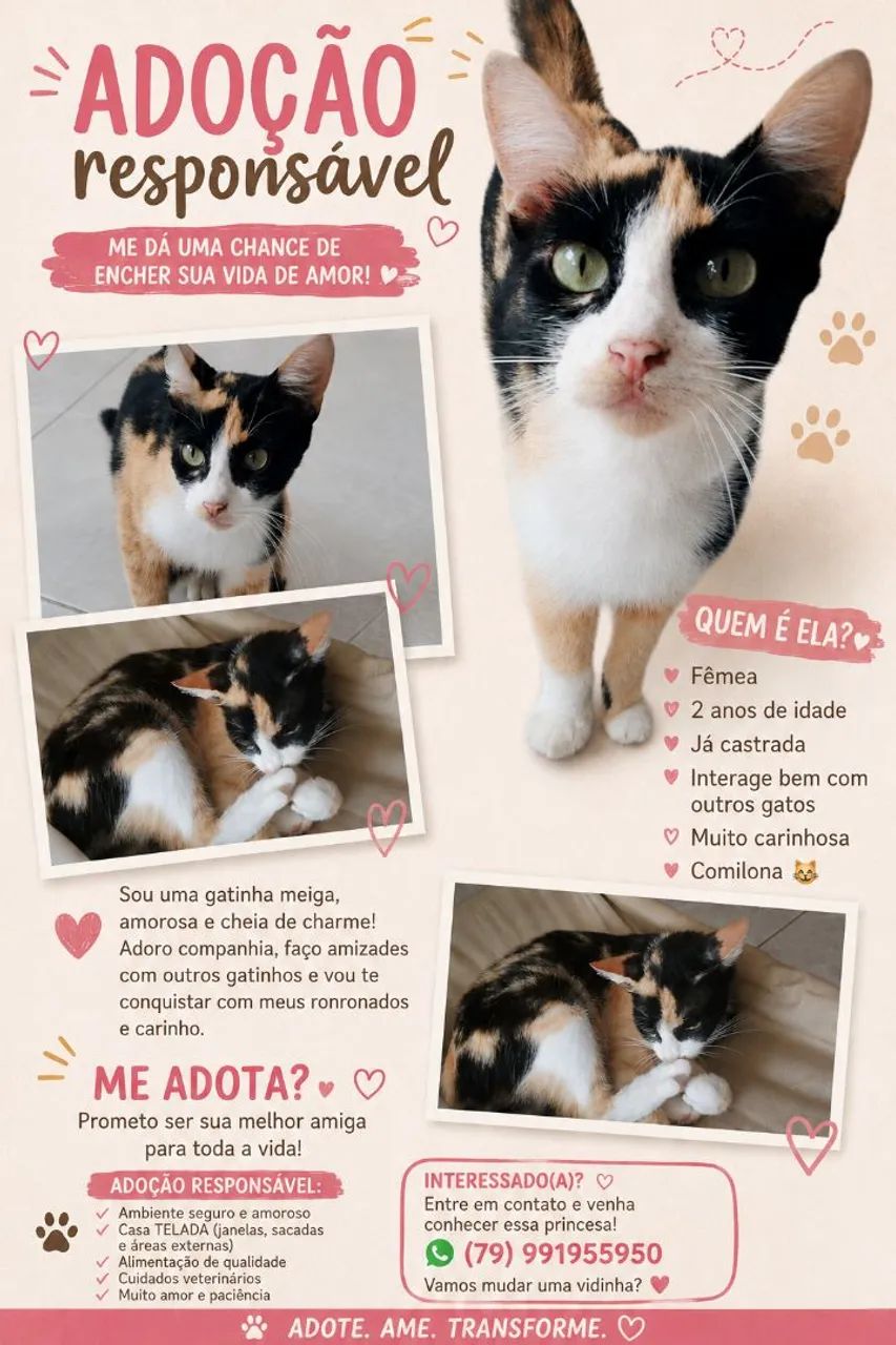 Gata adoção responsável 