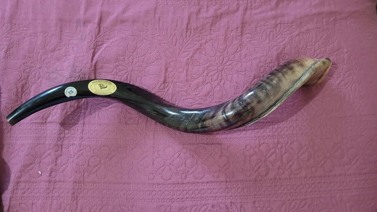Shofar de Antilope