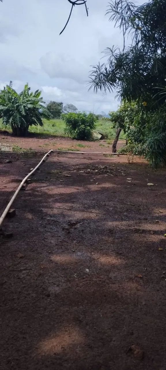 Oportunidade - Foto 3