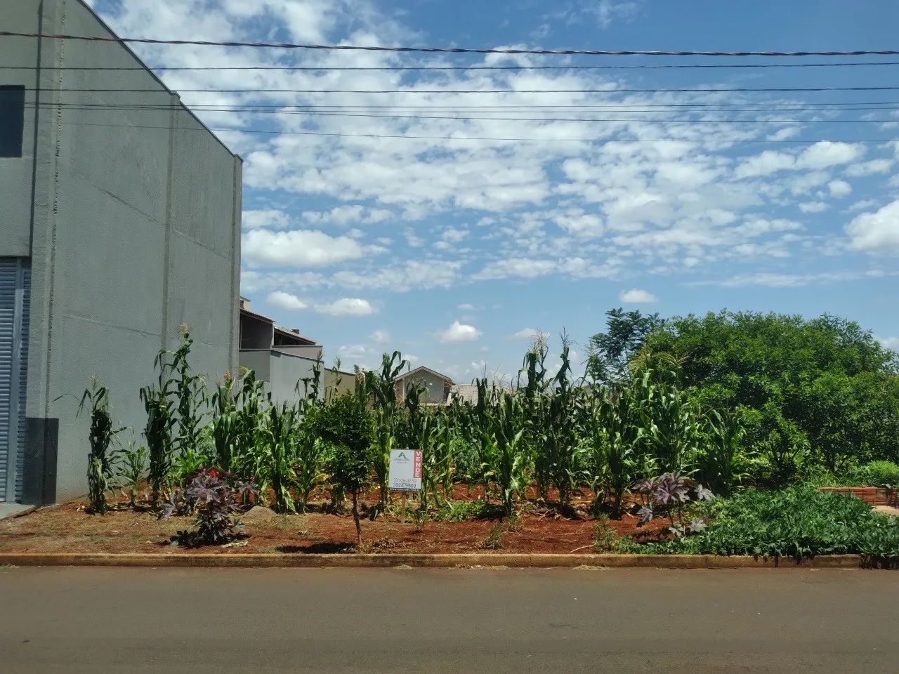 ÓTIMA DATA COMERCIAL E RESIDENCIAL - JD. ELDORADO - Marialva-Pr - Foto 2