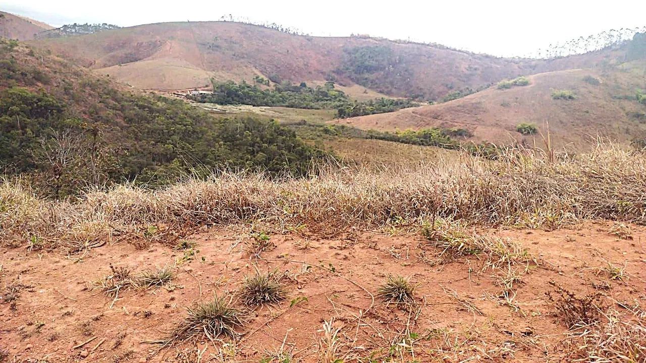 Lote / Terreno - Igrejinha - Foto 4