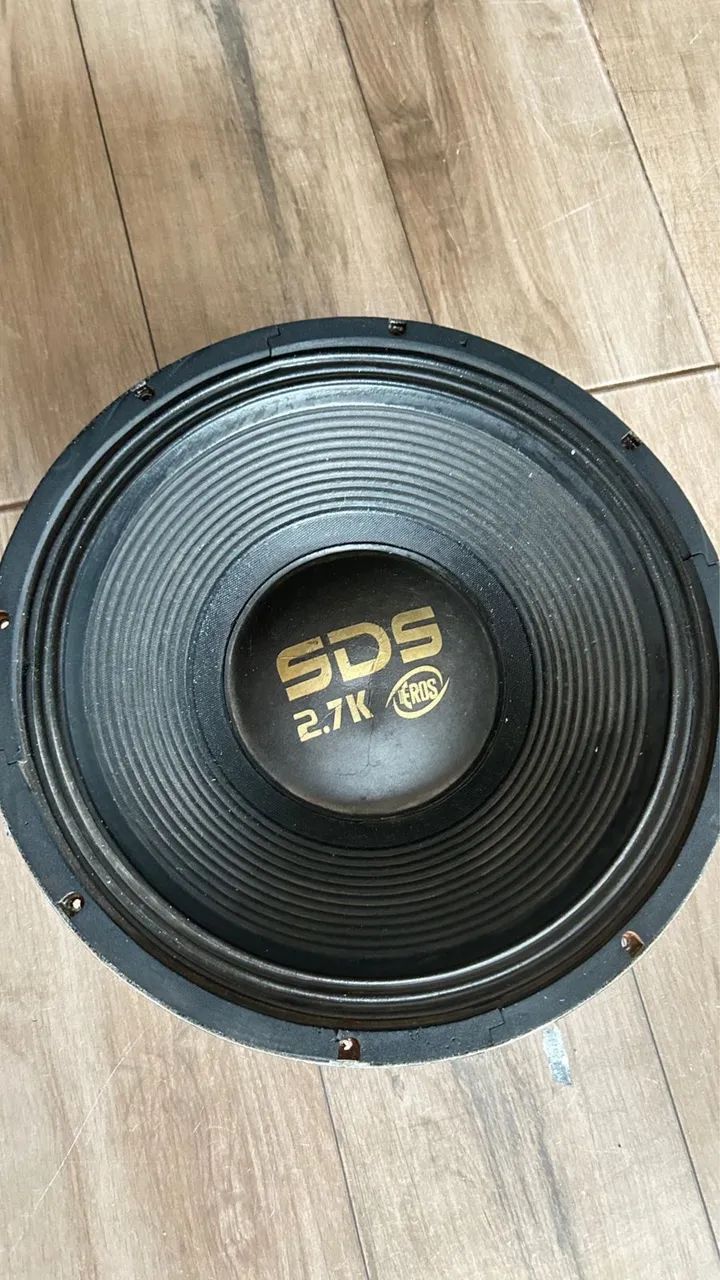 dois alto falante Eros de15polegadas  SDS de1350 RMS