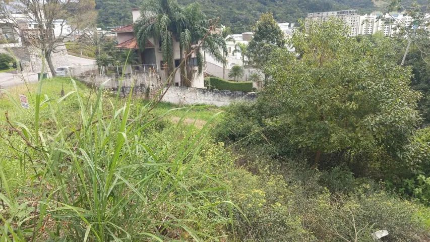 TERRENO PEDRA BRANCA BEM LOCALIZADO... - Foto 5